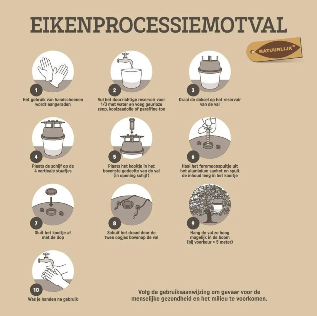 Pokon Eikenprocessiemotval - 1 Stuk - afbeelding 3 van 5