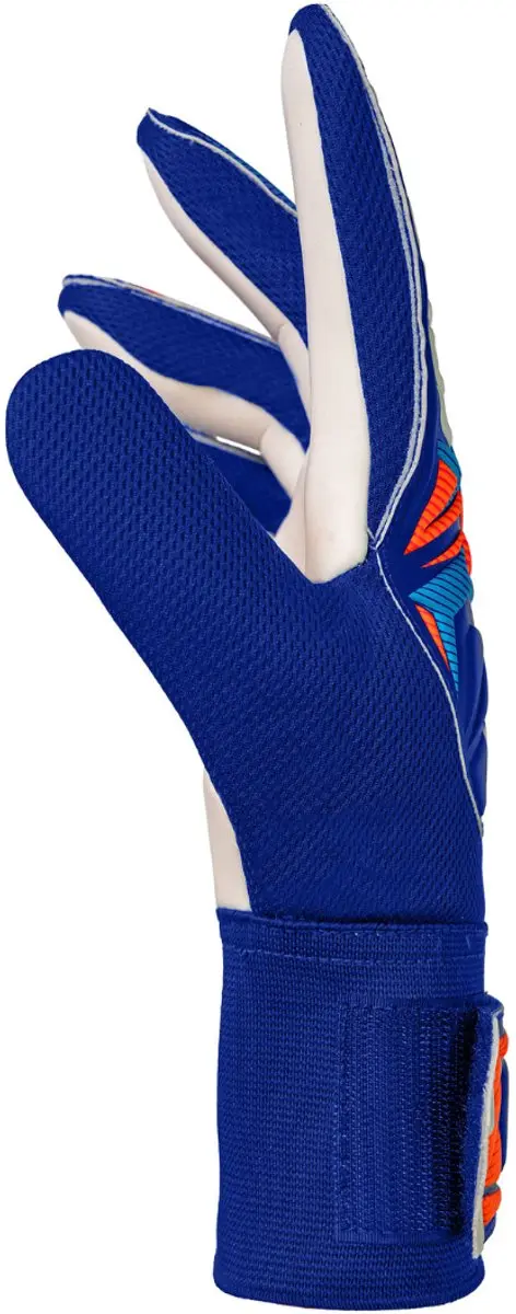 Reusch Keepershandschoenen Attrakt Starter - Maat 9 - Blauw - afbeelding 4 van 6