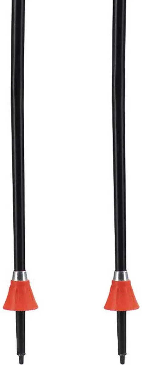 Rossignol Hero GS Junior Stokken - 100cm - Multicolor - afbeelding 5 van 6