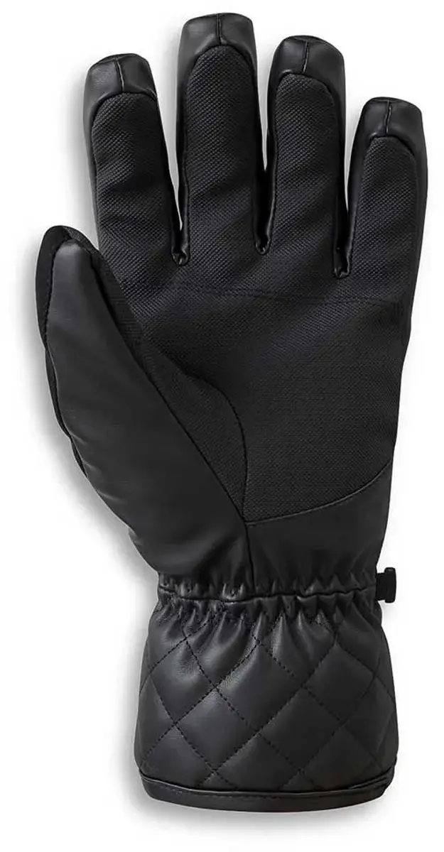 Dare 2b Glitz Ski Handschoenen - L - Zwart