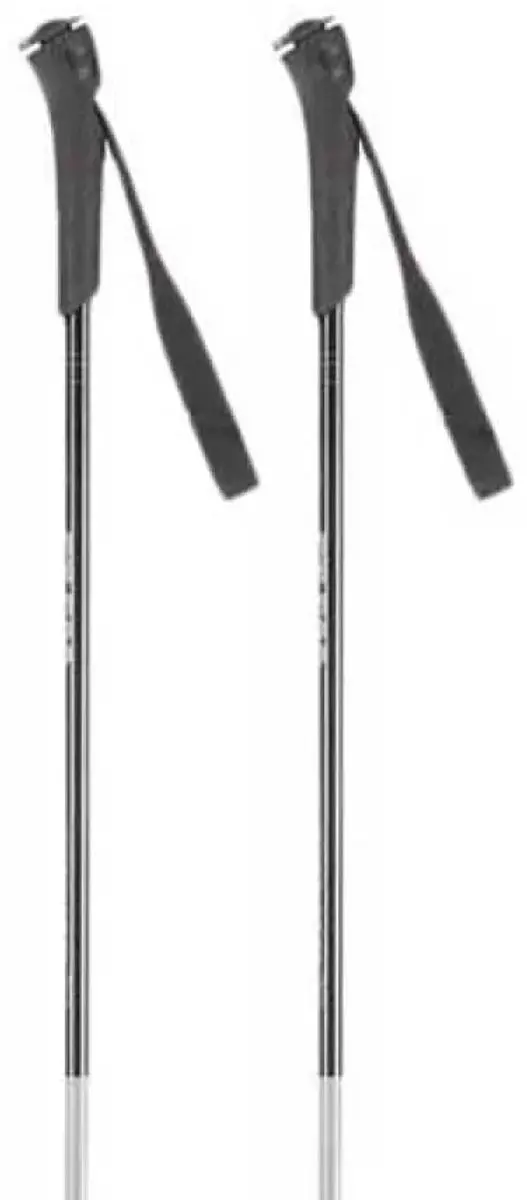 Rossignol Ft-500 Stokken Zilver 145 cm
