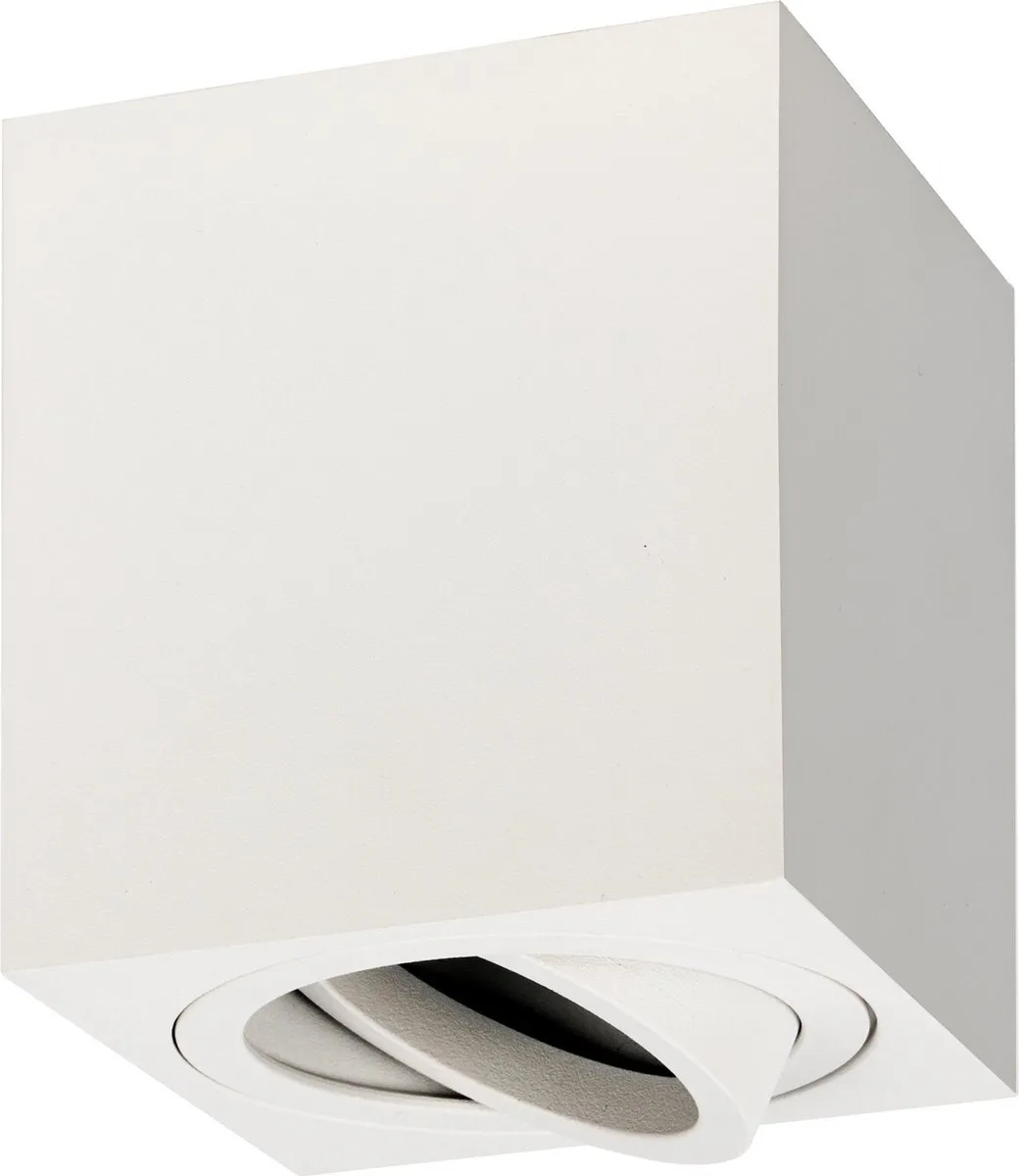 Ledvion LED Opbouwspot Dimbaar Wit Ø80mm GU10