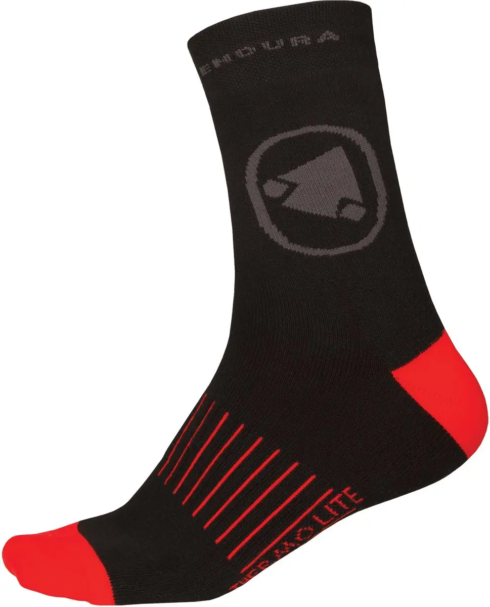 Endura Thermolite® Ii Sock (twin Pack) Black