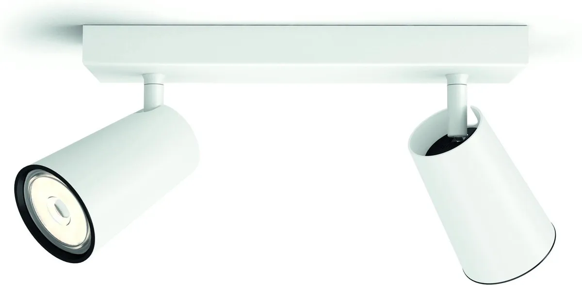 Philips Paisley Opbouwspot 2-lichts - Wit
