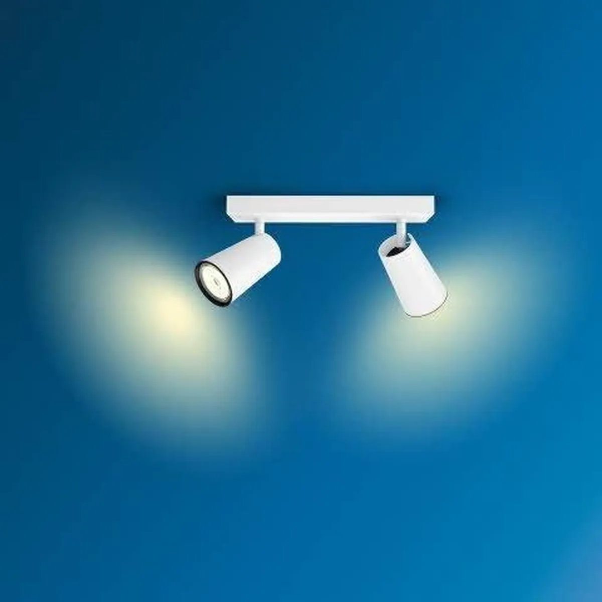 Philips Paisley Opbouwspot 2-lichts - Wit