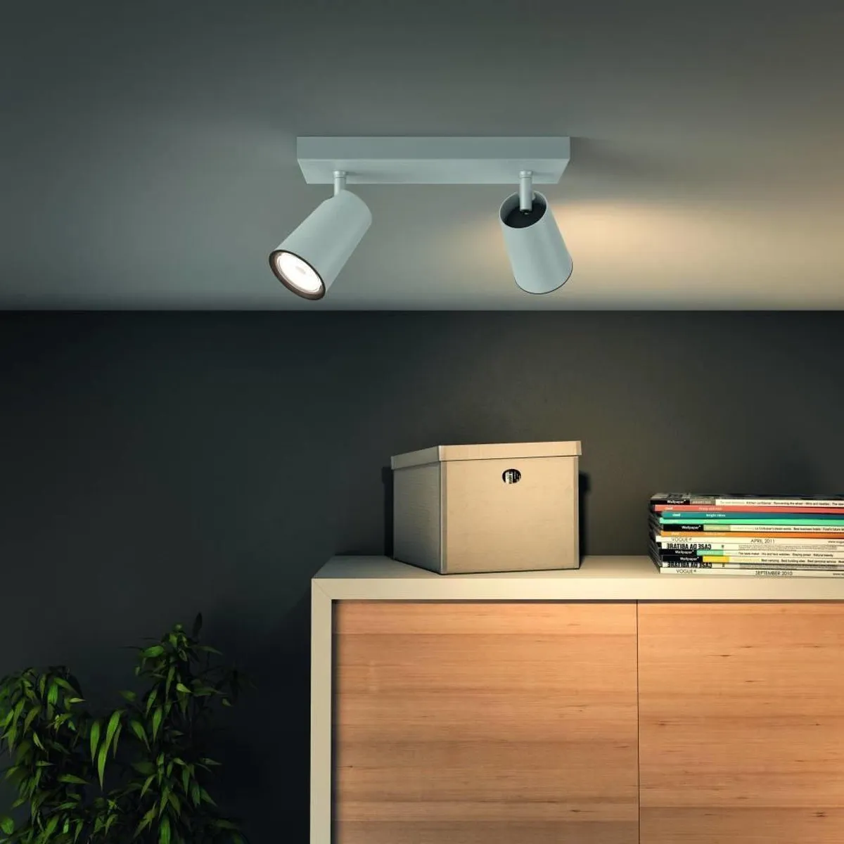 Philips Paisley Opbouwspot 2-lichts - Wit