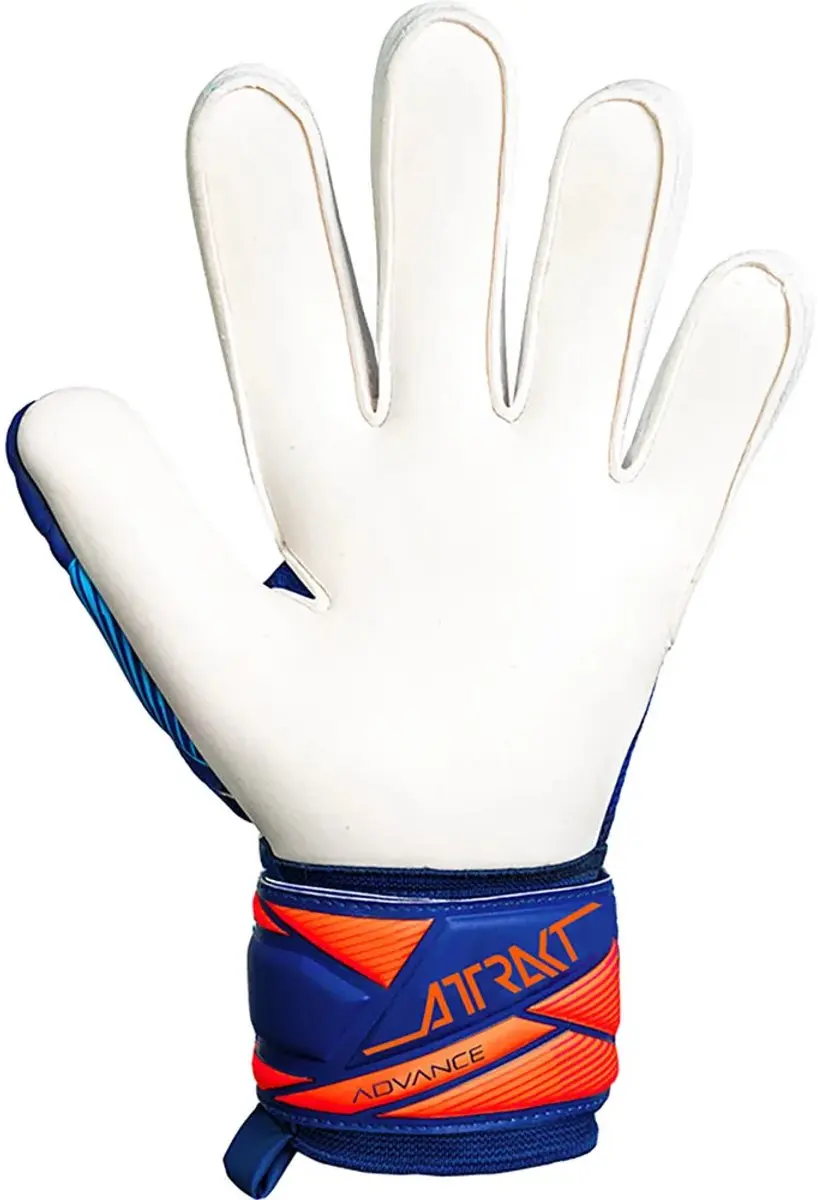 Keepershandschoenen Reusch Attrakt Advance