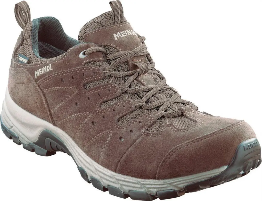 RAPIDE GTX heren wandelschoenen bruin