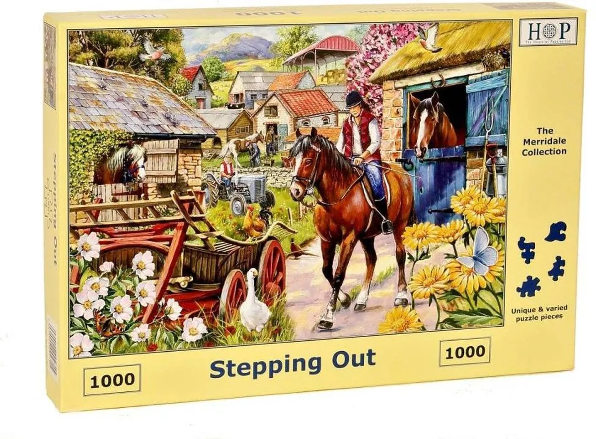 House Of Puzzles Stepping Out 1000-delig Puzzel