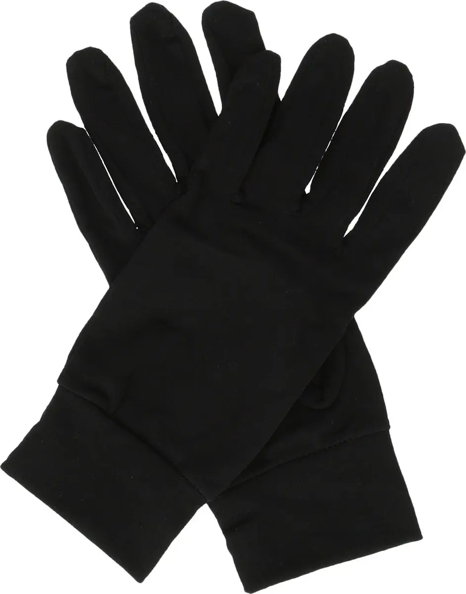 Whistler Dane Handschoenen - M - Zwart