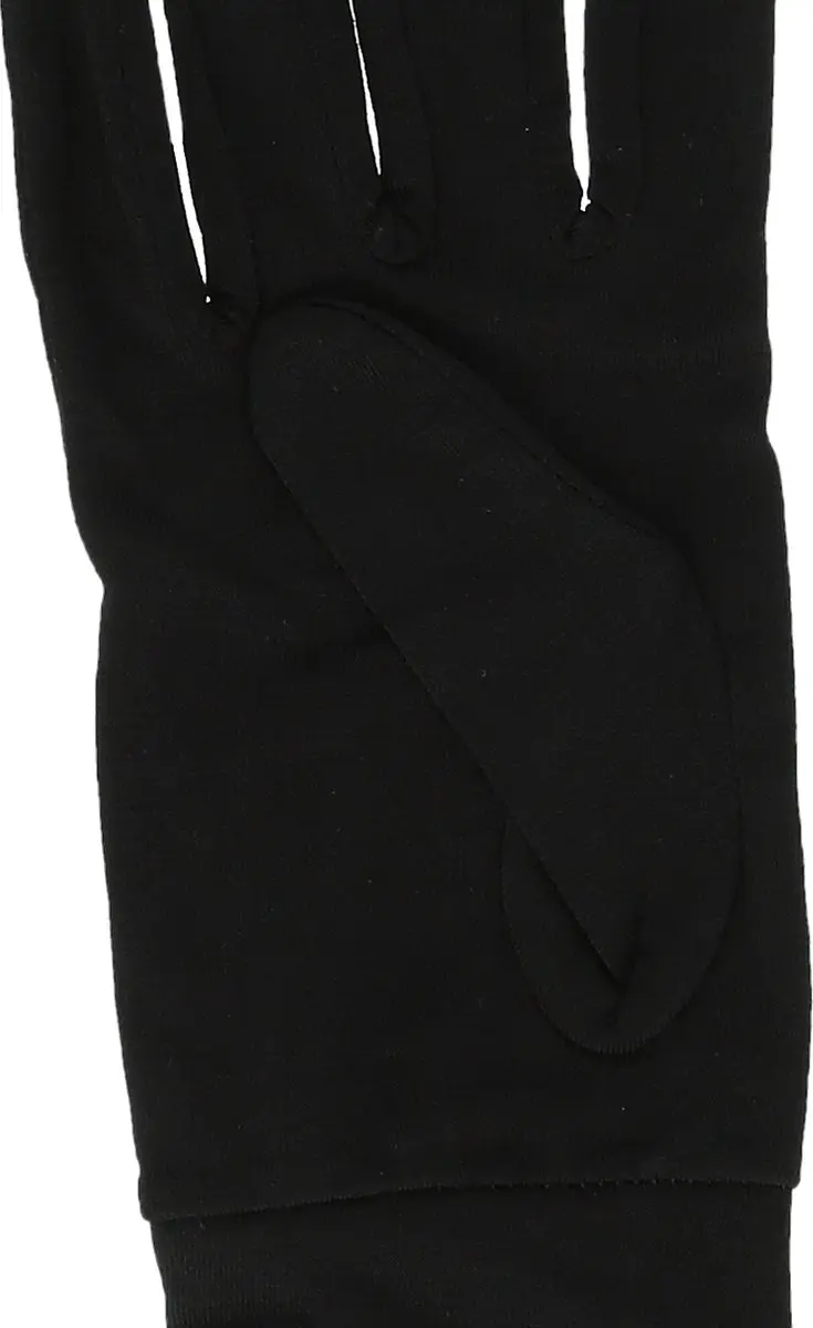 Whistler Dane Handschoenen - M - Zwart