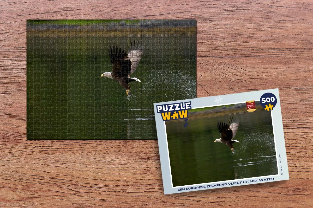 PuzzleWow Legpuzzel Europese Zeearend 500 Stuks - Multicolor