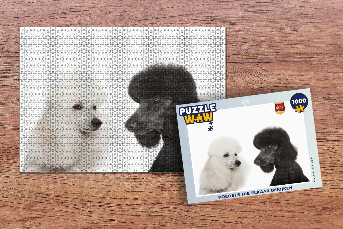 PuzzleWow Legpuzzel Poedels Multicolor 1000 Stuks