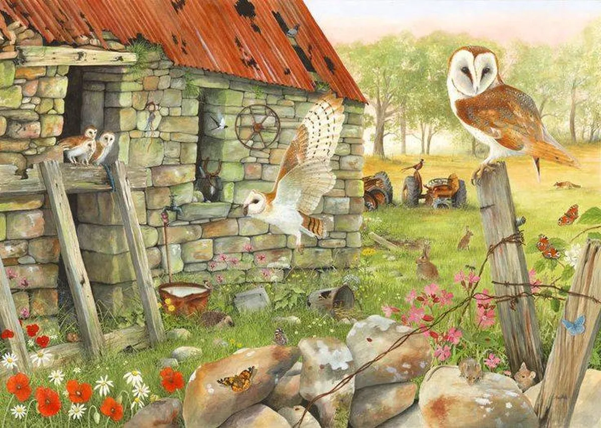 House of Puzzles Dawn Flight