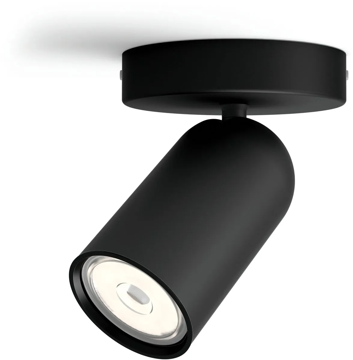 Philips Pongee Opbouwspot 1-lichts - Zwart
