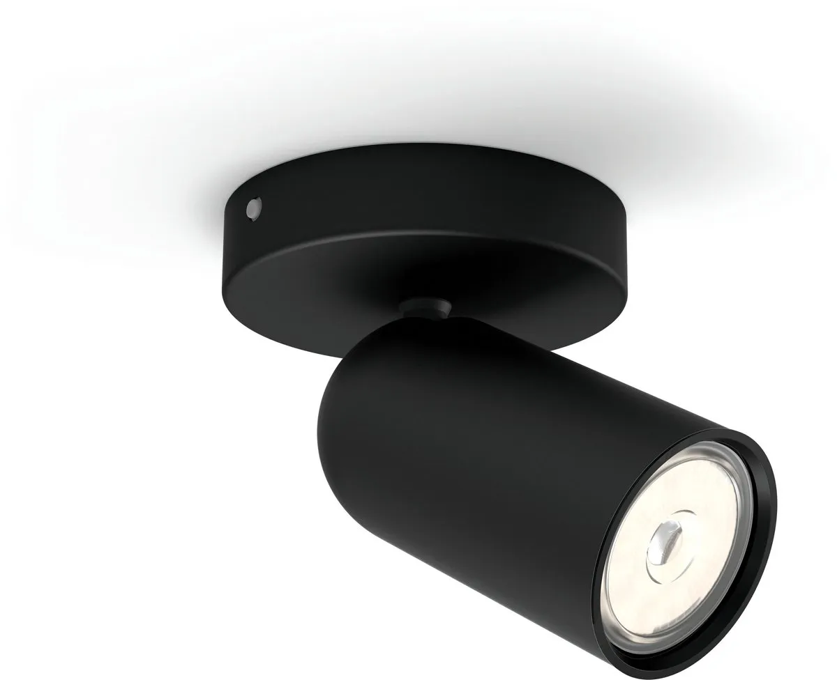 Philips Pongee Opbouwspot 1-lichts - Zwart