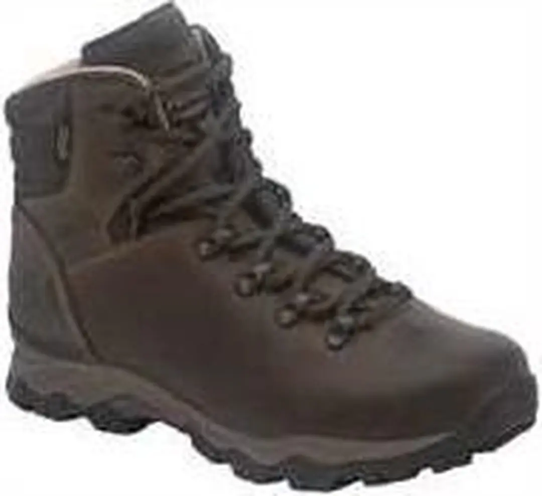 Peru Lady GTX Dames (Bruin)