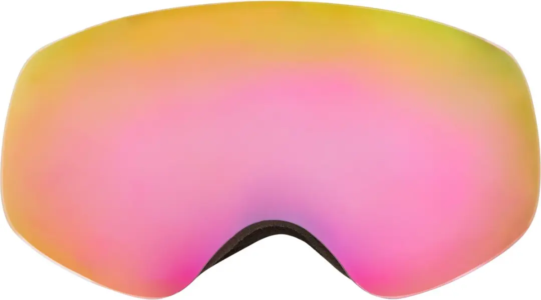 WHISTLER Skibrille WS900 Jr.