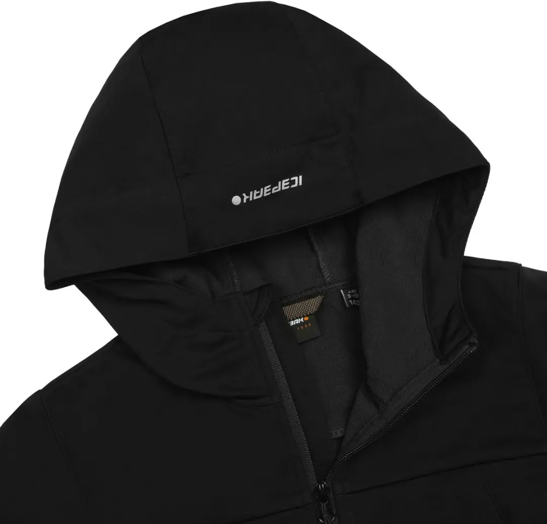 ICEPEAK