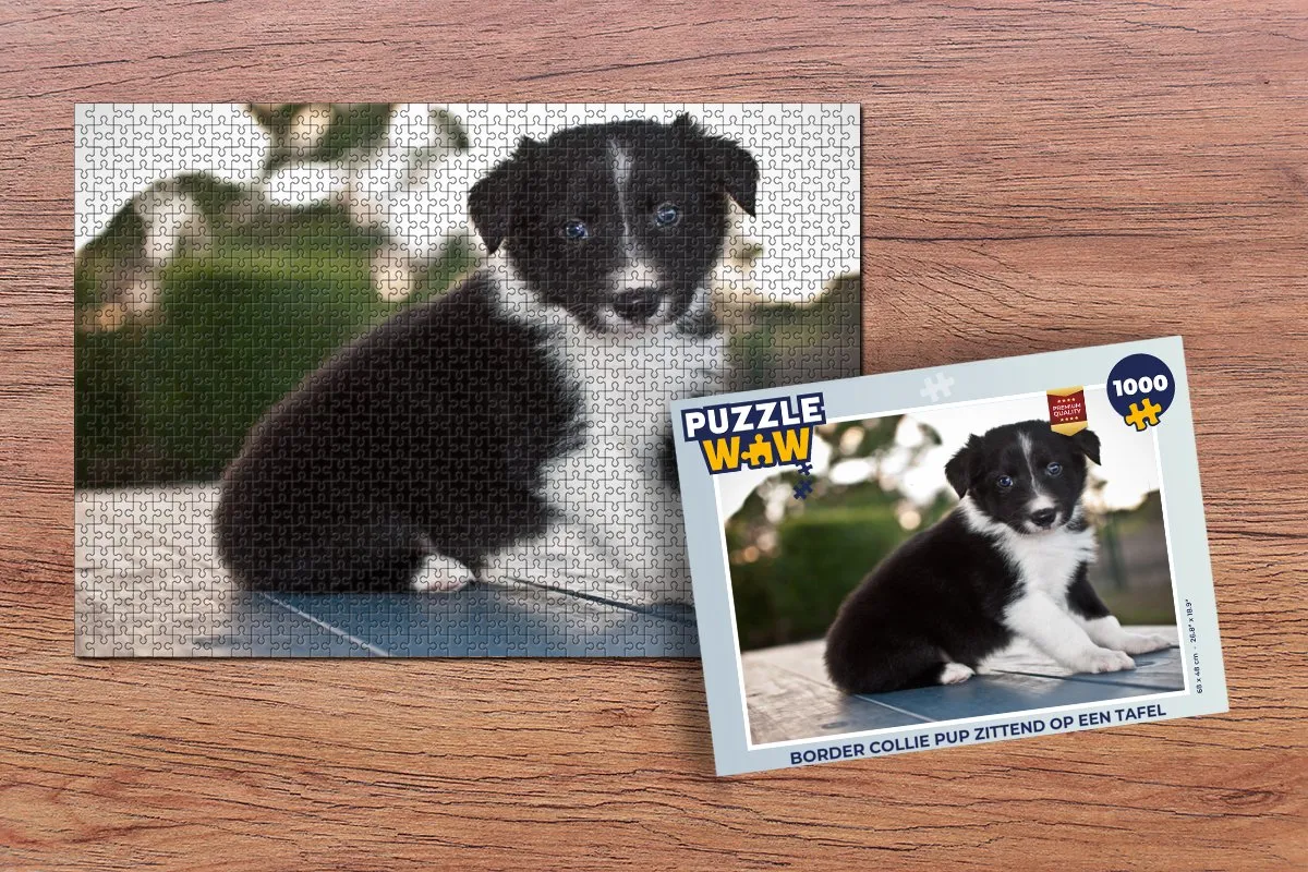 PuzzleWow Border Collie Pup Legpuzzel 1000 Stuks - Multicolor