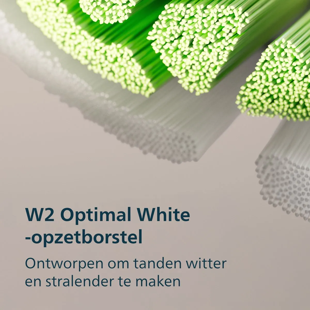 Philips Sonicare 4100 HX4044/52 Elektrische Tandenborstel - Zwart