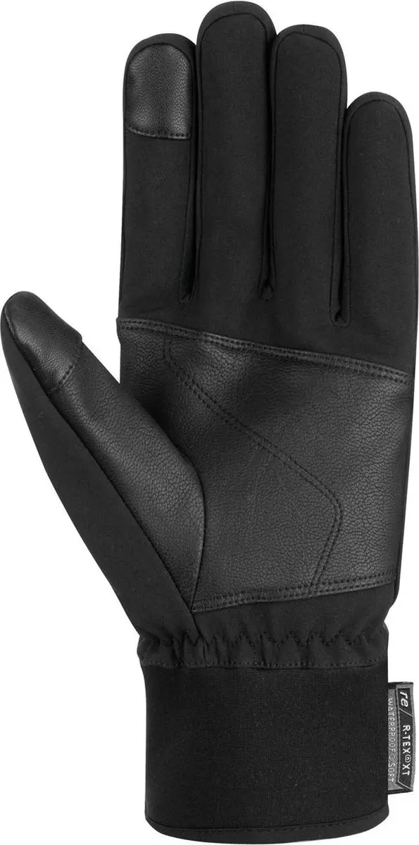 Reusch Diver X R-TEX XT Touch-Tec Wintersporthandschoenen 9,5 - Zwart/Zilver
