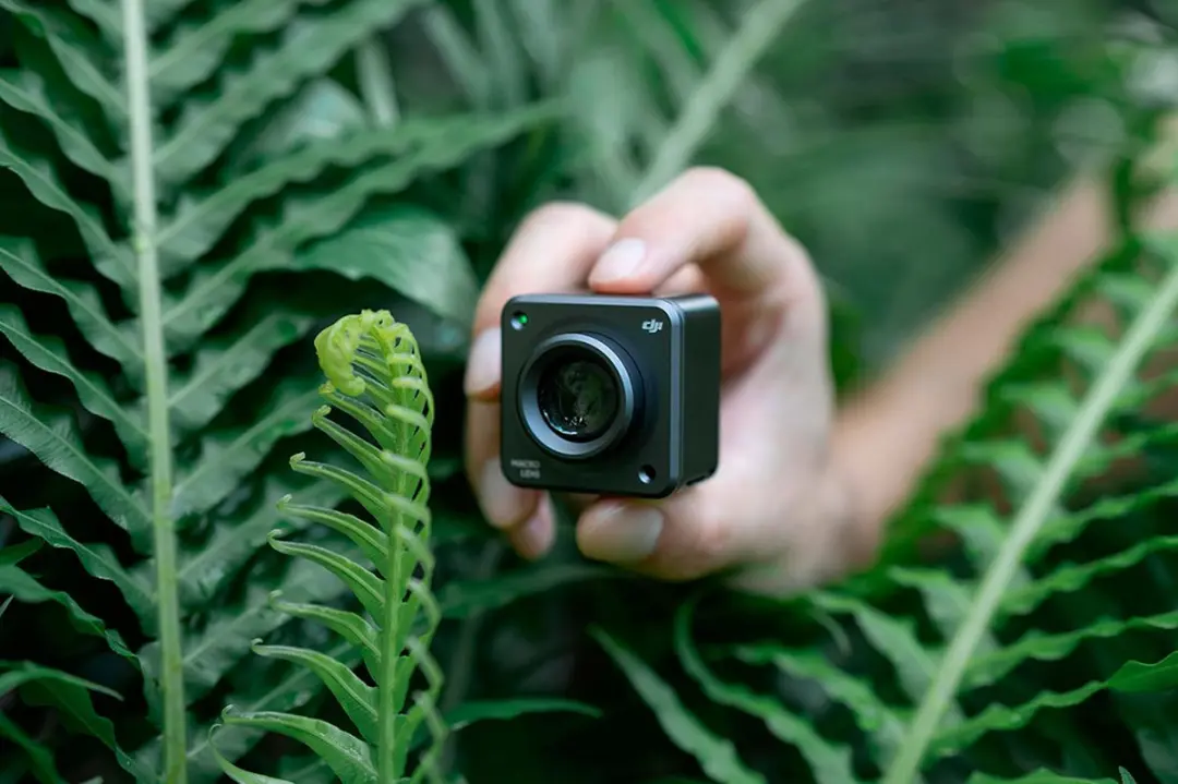 DJI Action 2 Macro Lens 30mm - Transparent - afbeelding 3 van 6