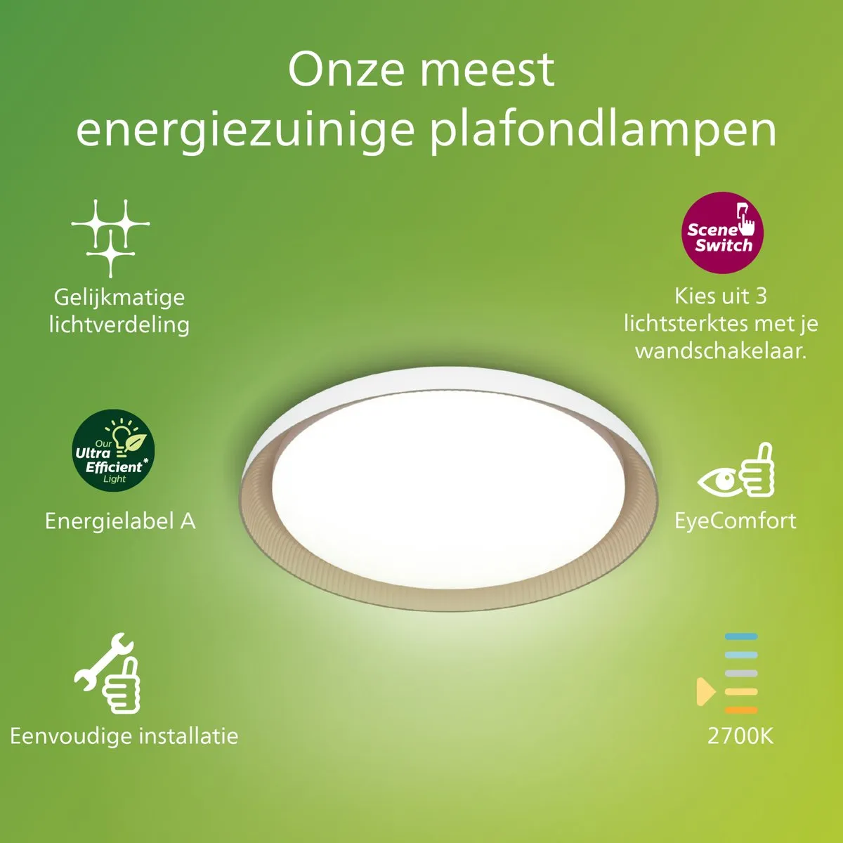 Philips Pebblo Plafondlamp 10W Warmwit - Ø32cm