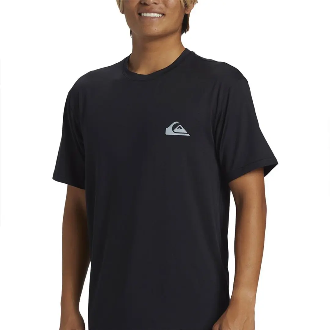 Quiksilver Heren Everyday Surf Korte Mouw T-Shirt - XL - Multicolor