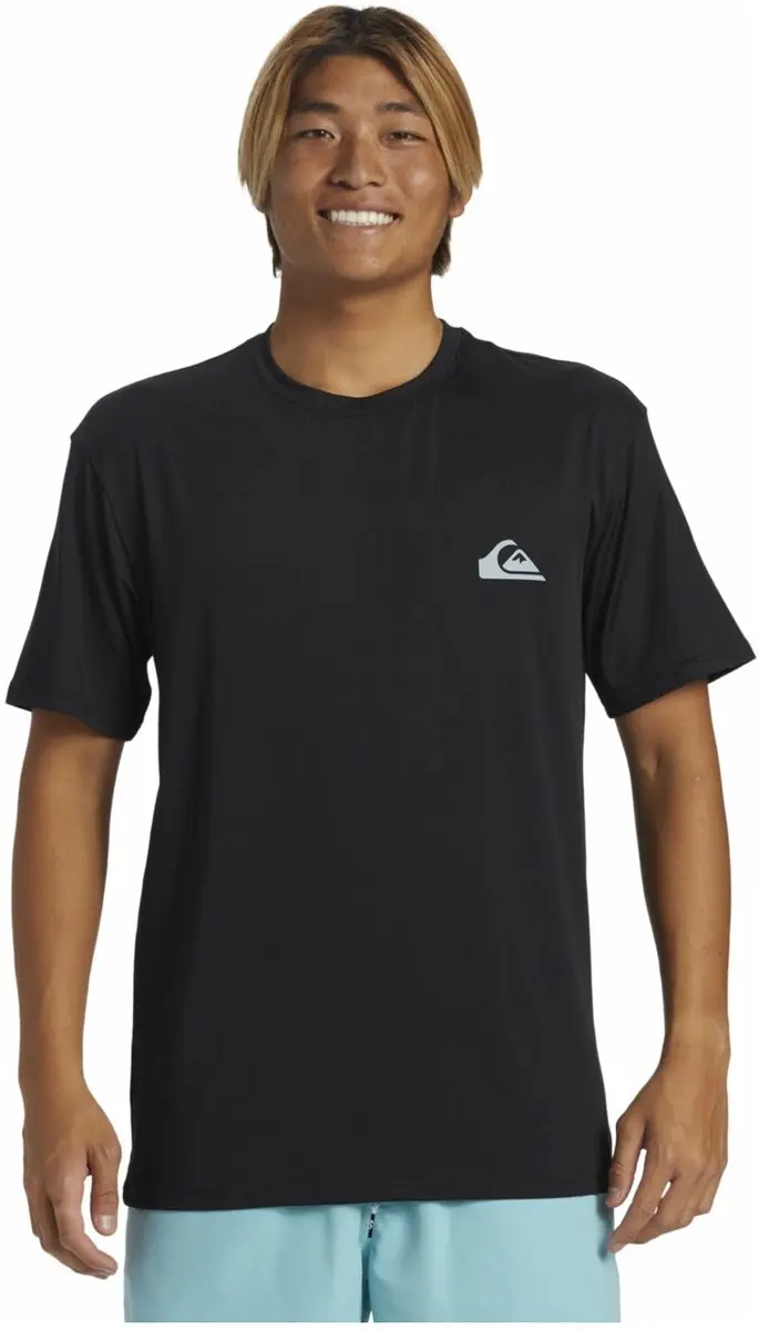 Quiksilver Heren Everyday Surf Korte Mouw T-Shirt - XL - Multicolor