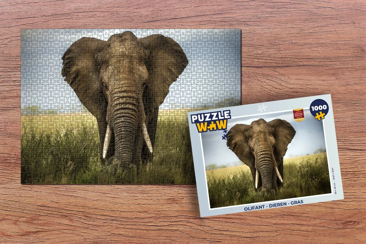 PuzzleWow Olifant Legpuzzel 1000 Stuks - Multicolor