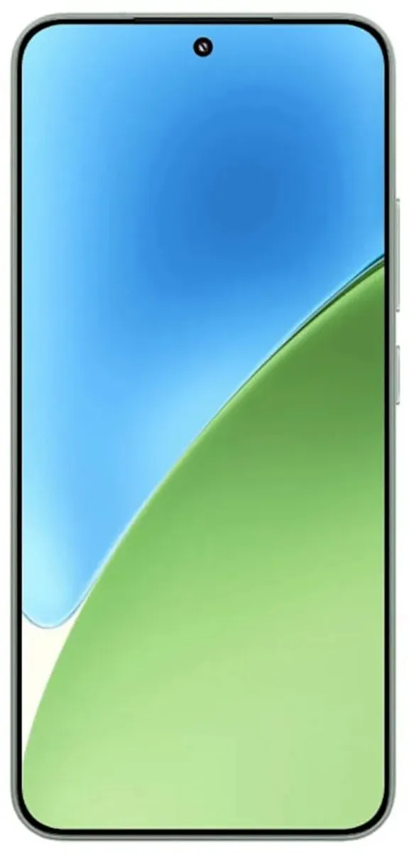 Xiaomi 15 MZB0IULEU Smartphone - 12GB/256GB - Groen