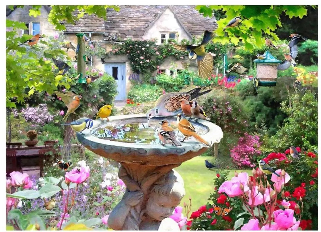 House of Puzzles Summer Birds Legpuzzel 1000 Stuks - Multicolor