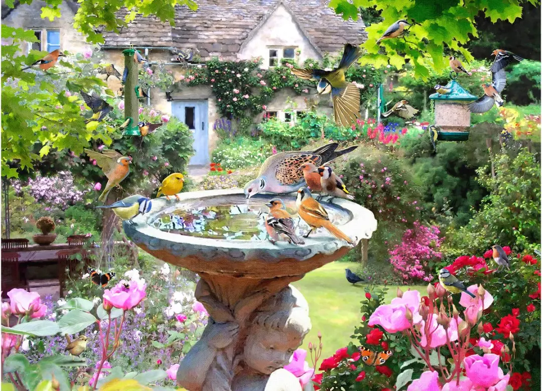 House of Puzzles Summer Birds Legpuzzel 1000 Stuks - Multicolor