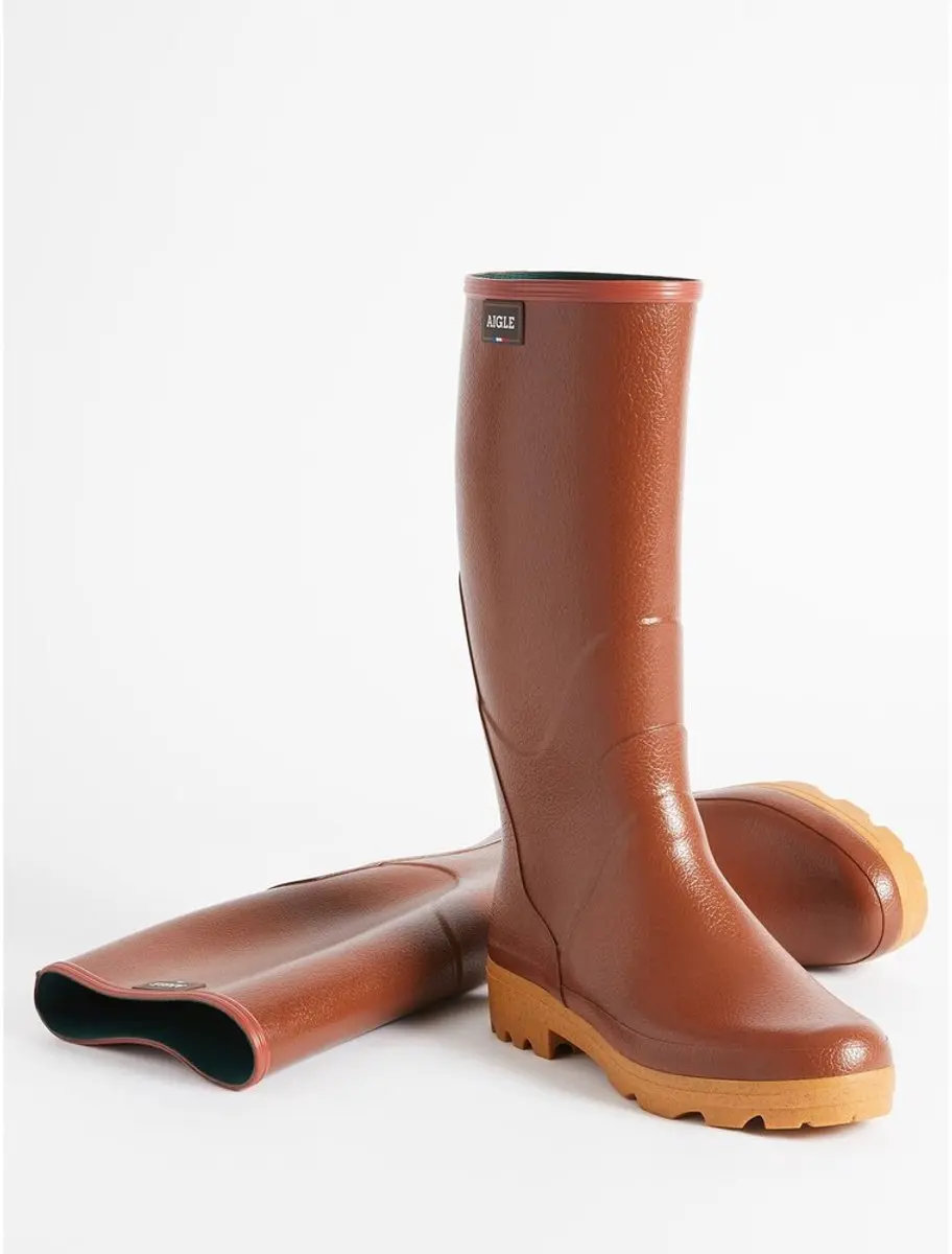 Aigle Chambord Pro 2