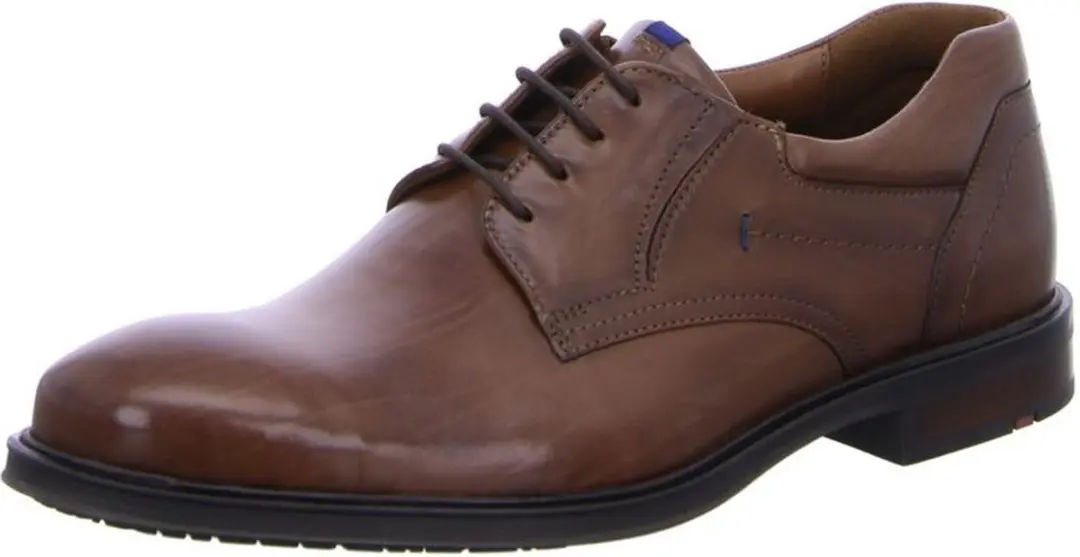 Lloyd Veterschoenen - 45 - Bruin