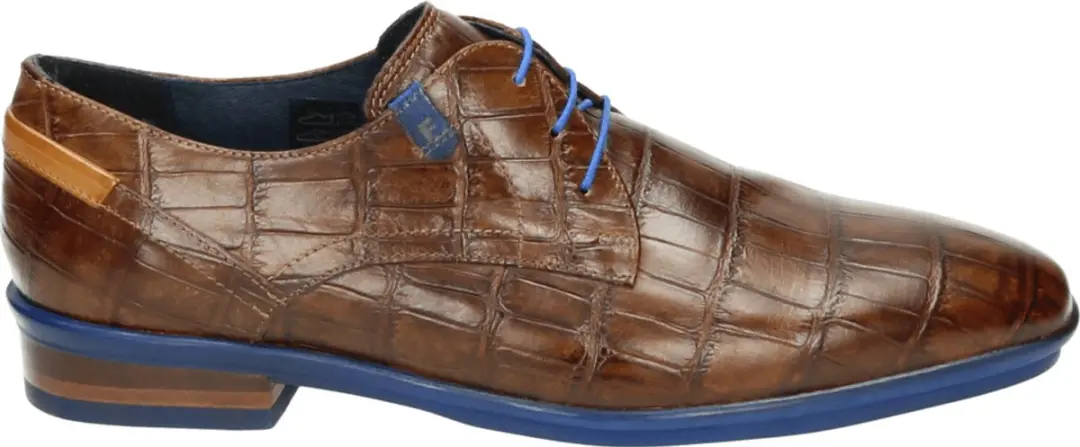 Van Bommel