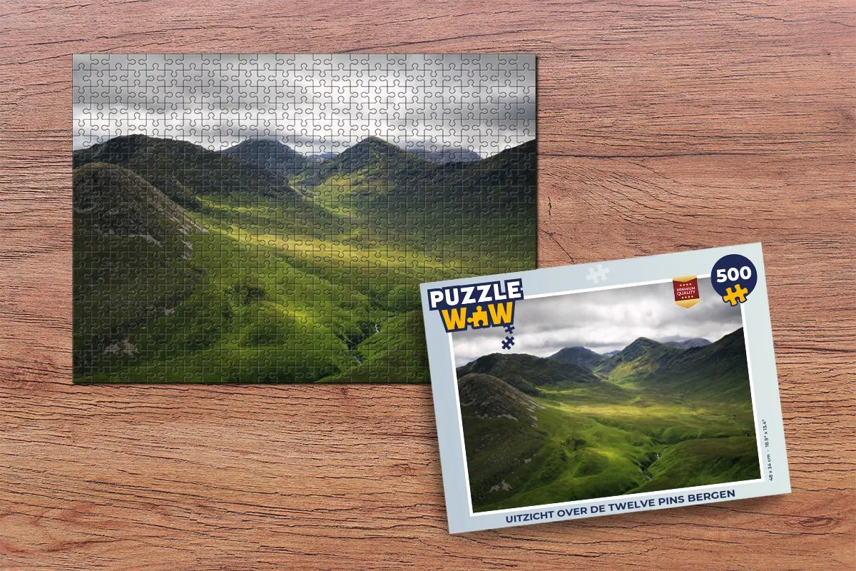 PuzzleWow Legpuzzel Twelve Pins 500 Stuks - Multicolor