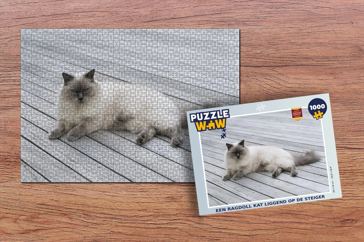 PuzzleWow Ragdoll Kat Legpuzzel 1000 Stuks - Multicolor