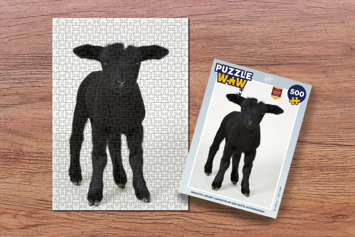PuzzleWow Legpuzzel 500 Stuks - Multicolor