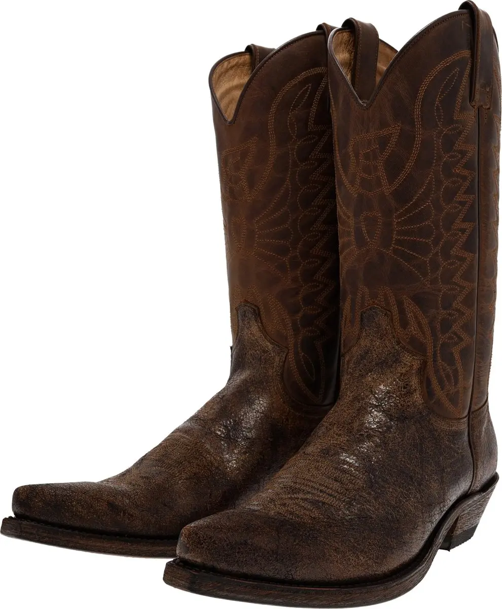 FB Fashion Boots ARLO Testa western laarzen bruin
