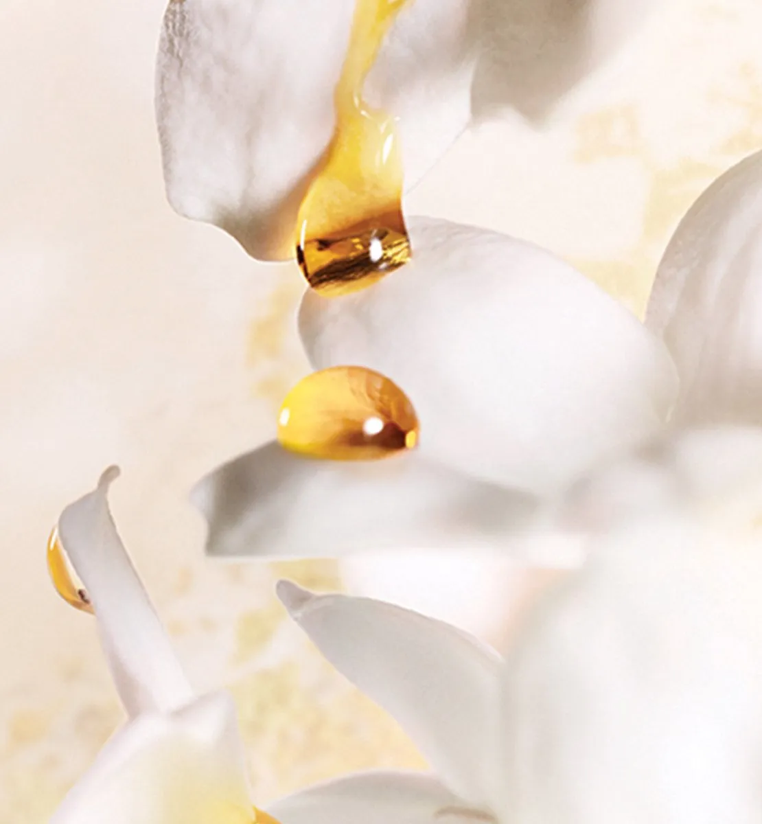 Dior J'adore Eau de Parfum 150ml
