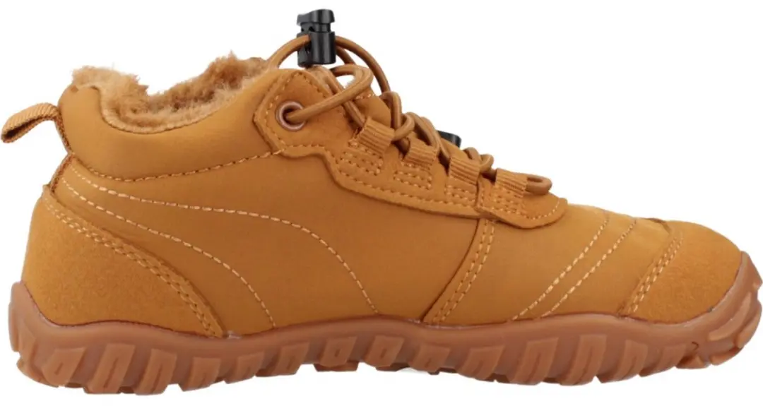 SAGUARO WILL II Bruin 28 EU