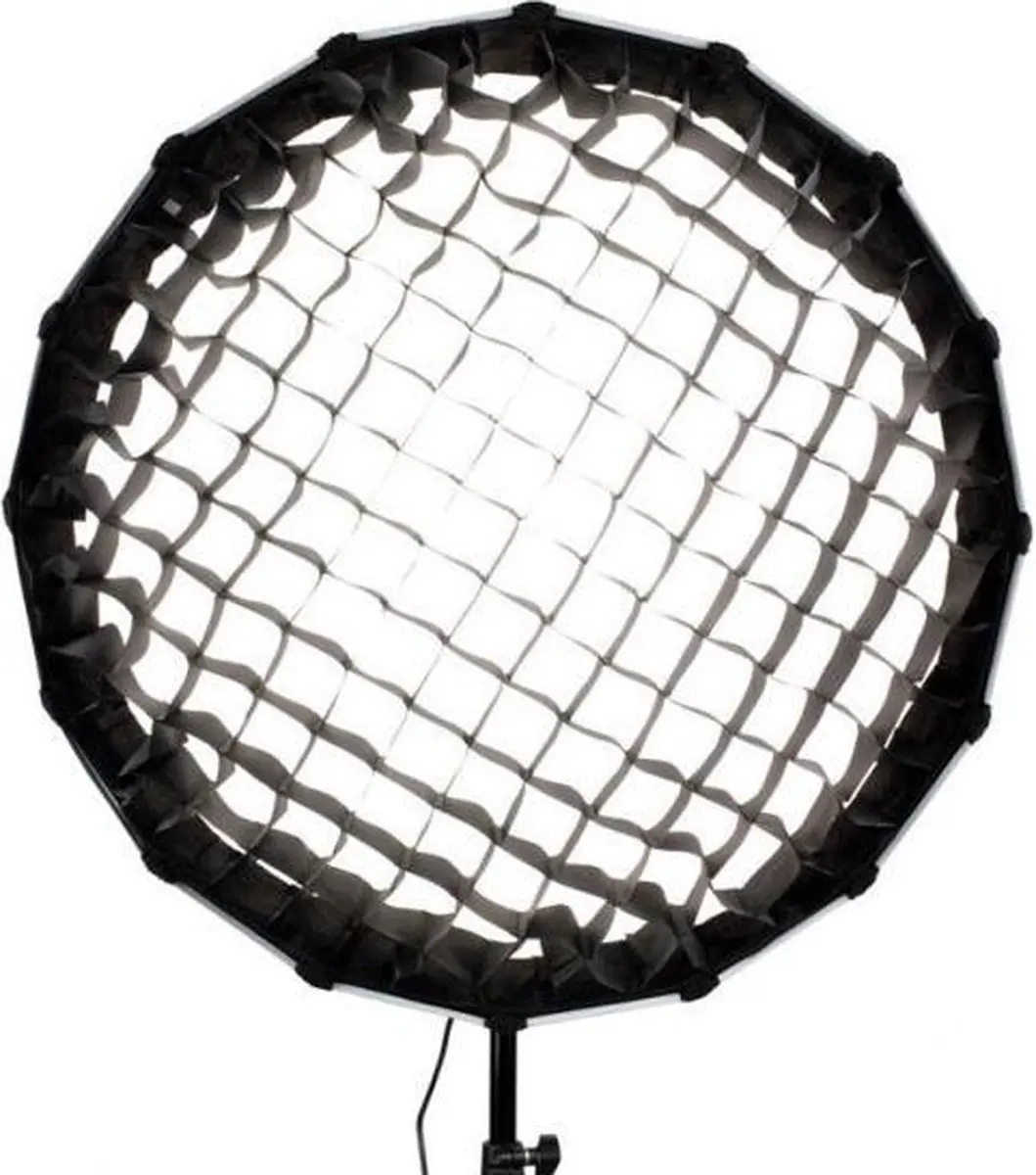 Nanlite Grid for Forza 60