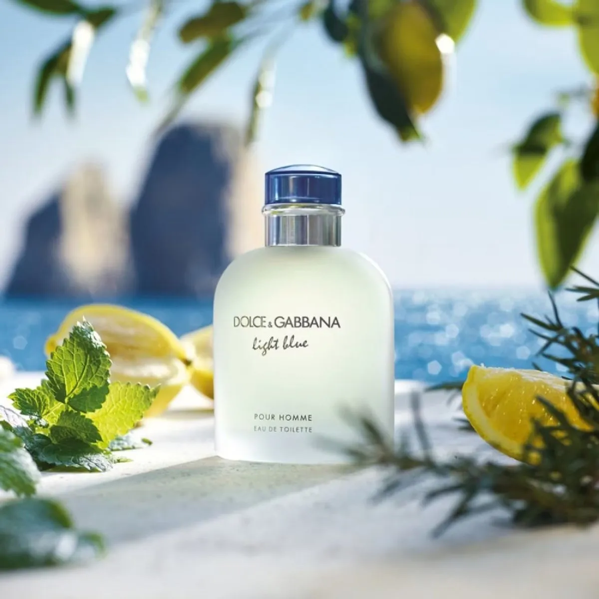 Dolce & Gabbana Light Blue Pour Homme Eau de Toilette 200ml