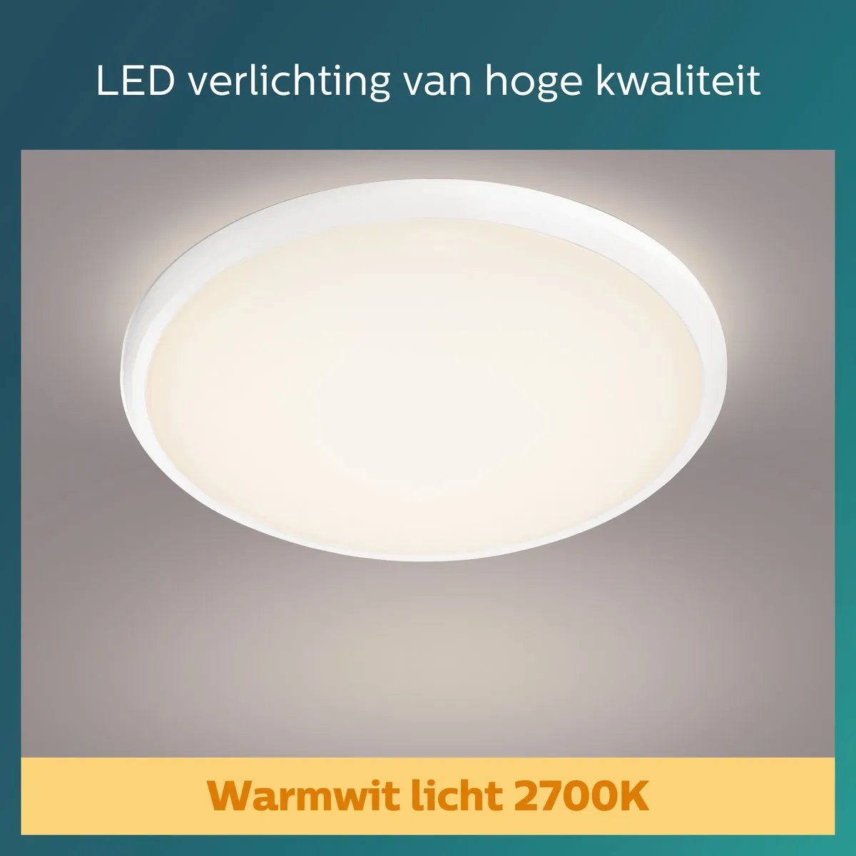Philips Twirly Plafondlamp 17W - Warmwit - Ø29cm