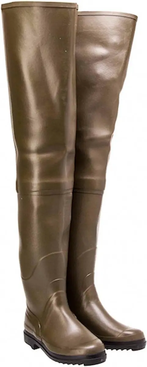 Aigle Forel