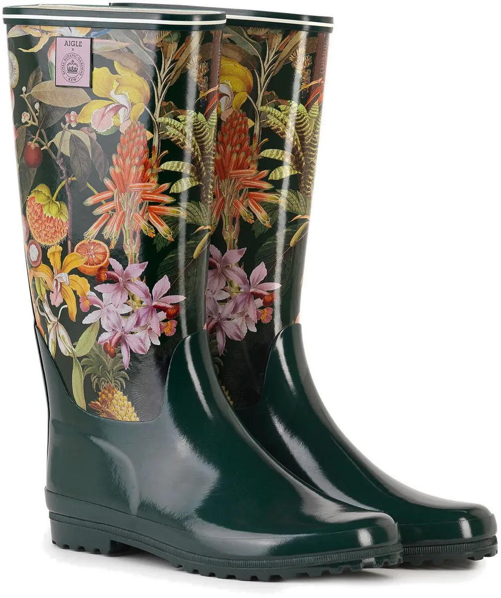 Aigle Venetië Afdruk