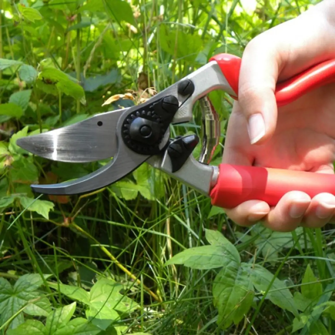 Felco 7 Snoeischaar Rolhandgreep - Max Ø20mm