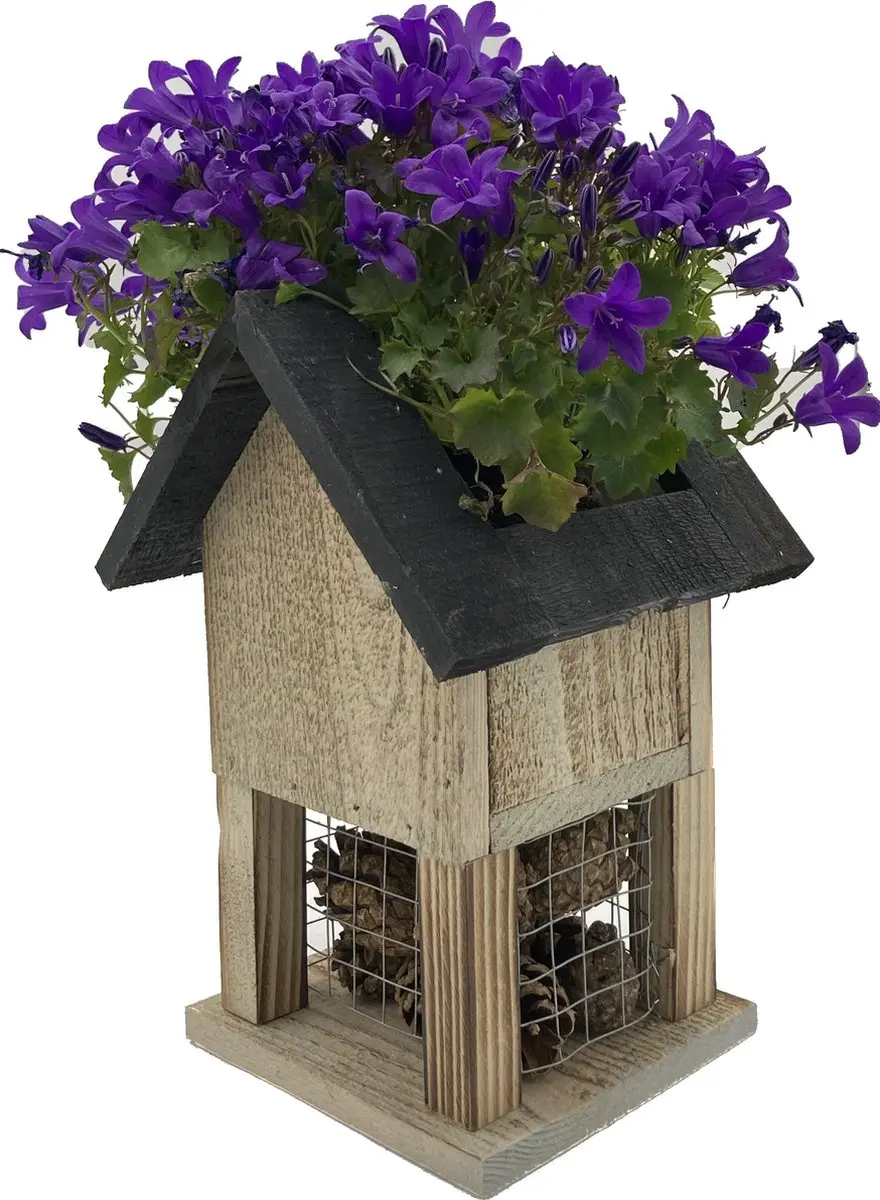 GARDEN SPIRIT Insectenhotel Bloempot klein 15 x 14 x 22 cm Dennenappels